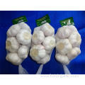 Fresh Normal White Garlic Hot Sale